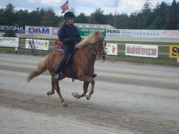 Skive travbane billede 352