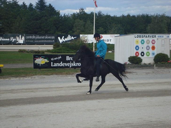 Skive travbane billede 355