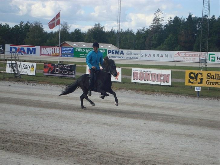 Skive travbane billede 356