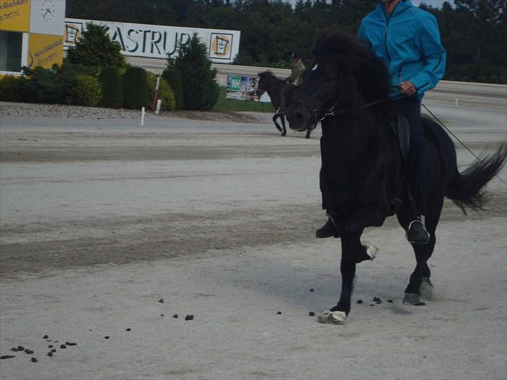 Skive travbane billede 360