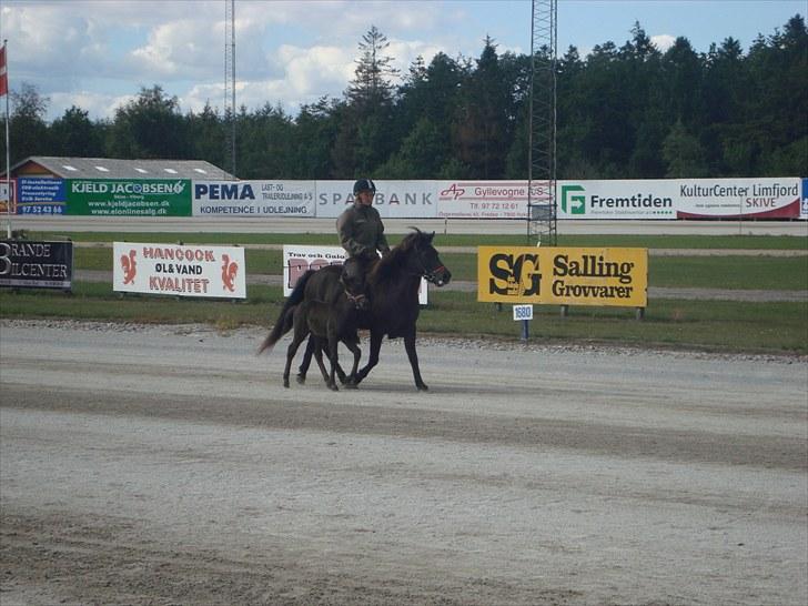 Skive travbane billede 363