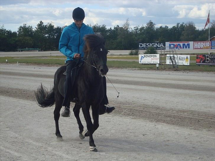 Skive travbane billede 364