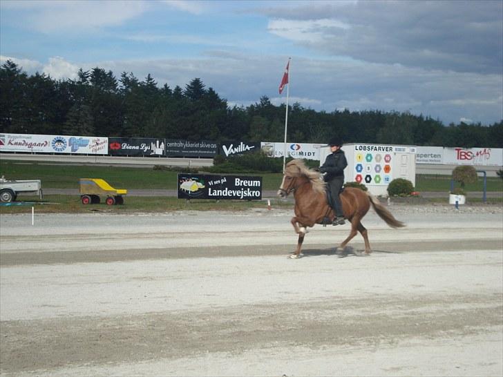 Skive travbane billede 365