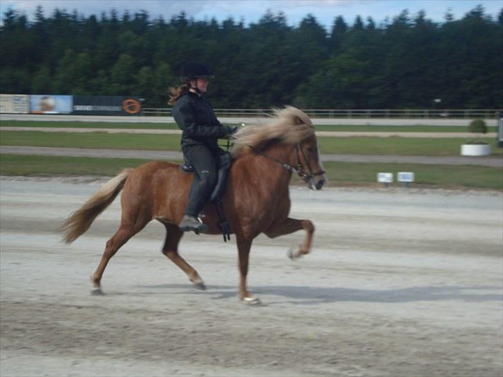 Skive travbane billede 367