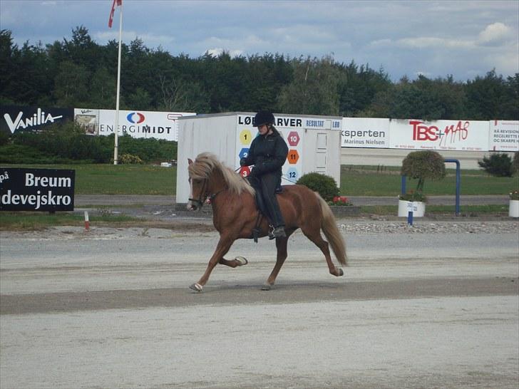 Skive travbane billede 369