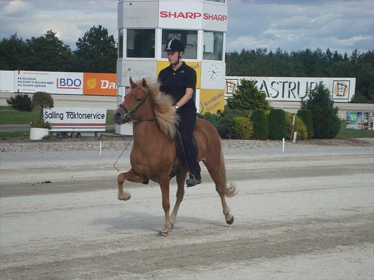 Skive travbane billede 370