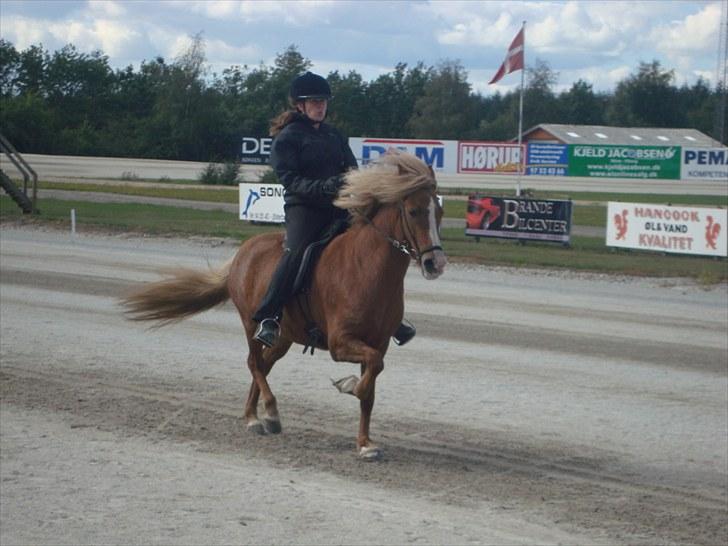 Skive travbane billede 371