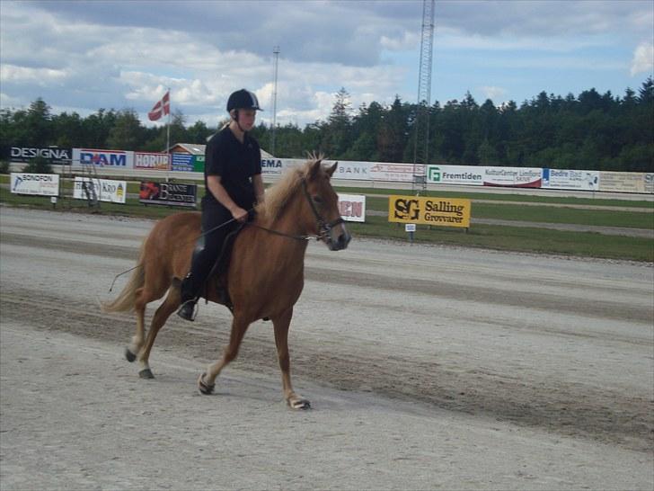 Skive travbane billede 372