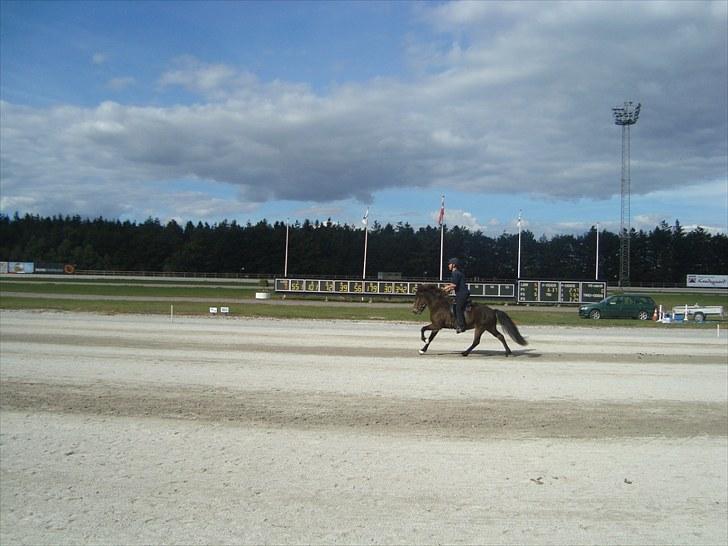 Skive travbane billede 373