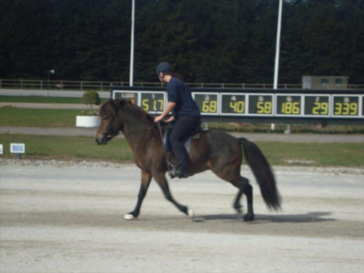 Skive travbane billede 375