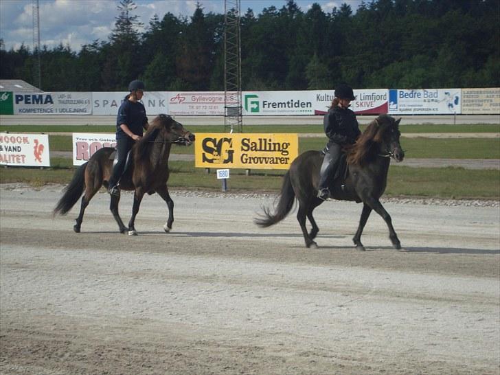 Skive travbane billede 377