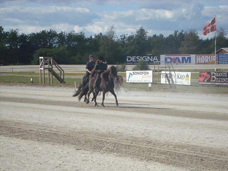 Skive travbane billede 378