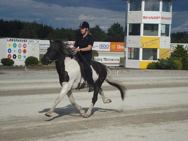 Skive travbane billede 380