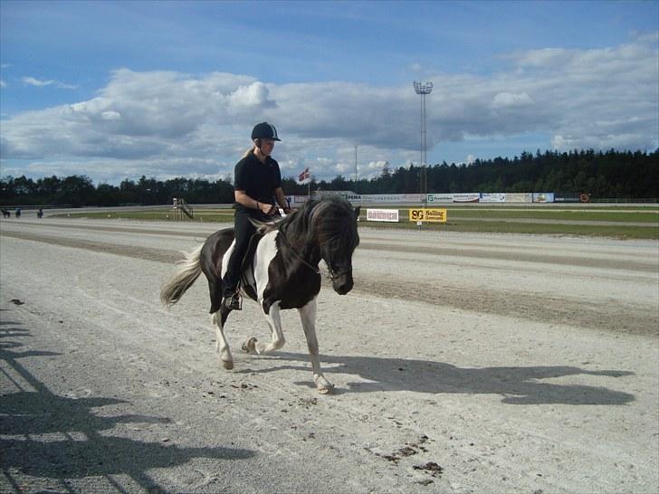 Skive travbane billede 381