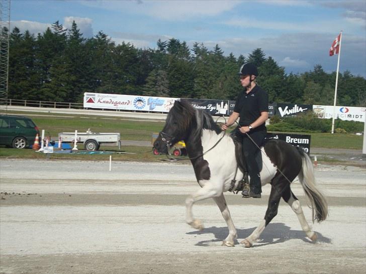 Skive travbane billede 383