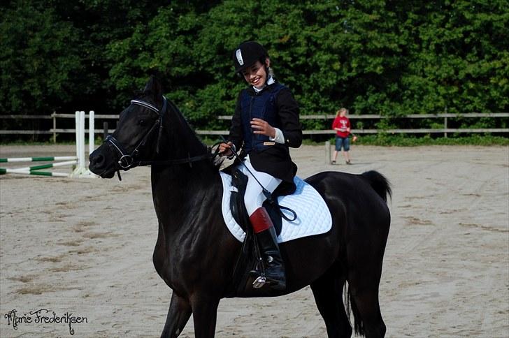 Herlev rideskole, Hjor klubstævne Spring billede 3