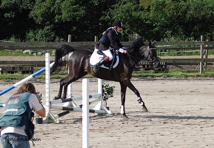 Herlev rideskole, Hjor klubstævne Spring billede 7