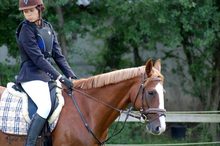 Herlev rideskole, Hjor klubstævne Spring billede 14