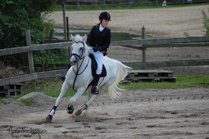 Herlev rideskole, Hjor klubstævne Spring billede 16