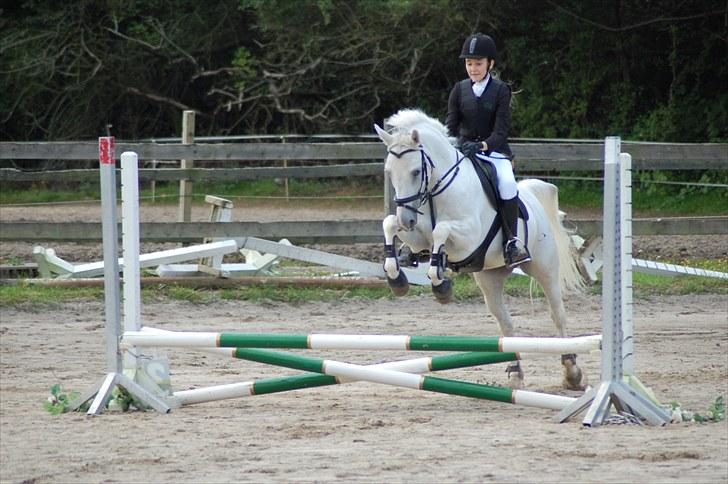 Herlev rideskole, Hjor klubstævne Spring billede 2