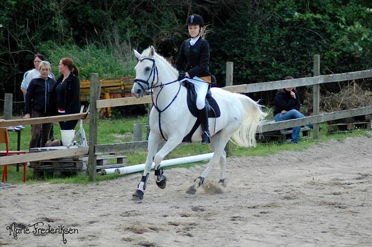 Herlev rideskole, Hjor klubstævne Spring billede 17