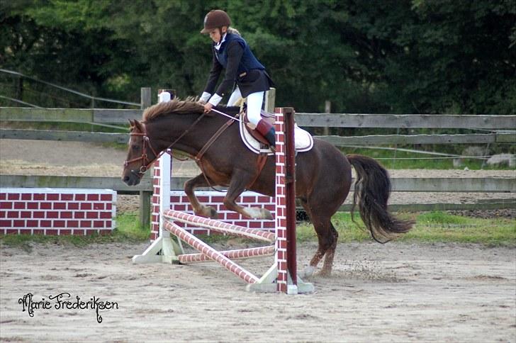 Herlev rideskole, Hjor klubstævne Spring billede 18