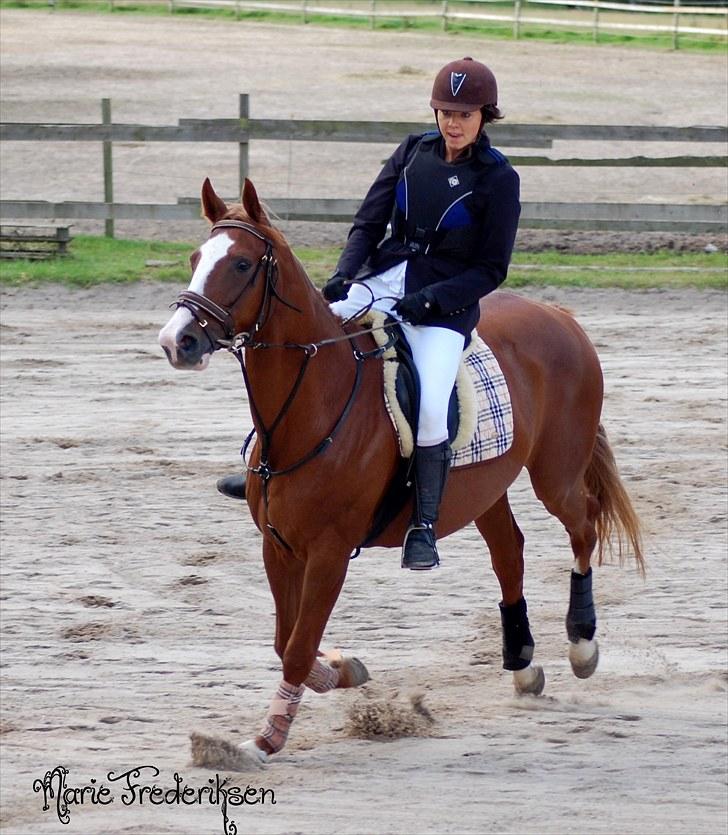 Herlev rideskole, Hjor klubstævne Spring billede 19