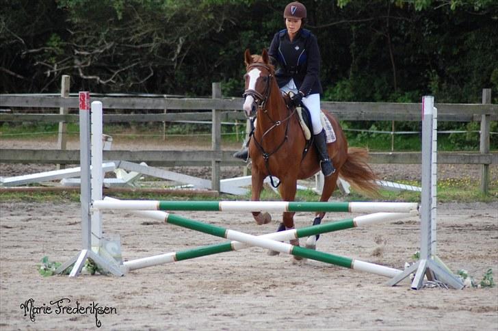 Herlev rideskole, Hjor klubstævne Spring billede 20