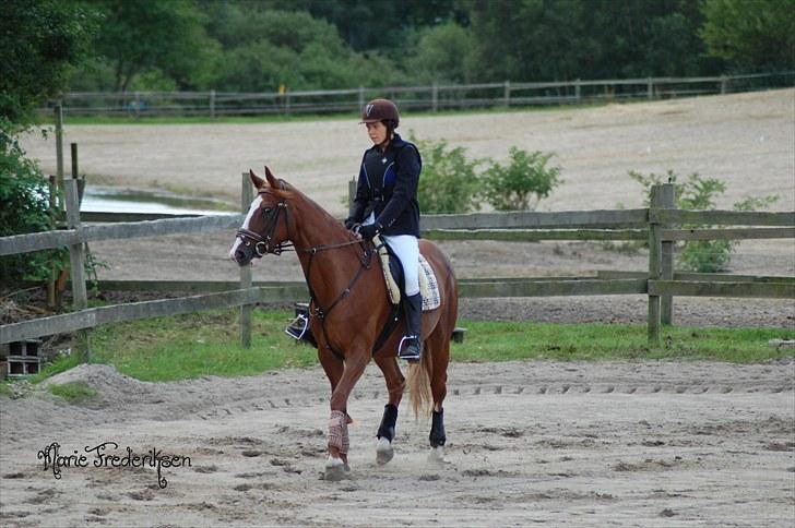 Herlev rideskole, Hjor klubstævne Spring billede 22