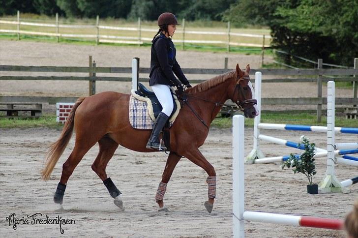 Herlev rideskole, Hjor klubstævne Spring billede 28
