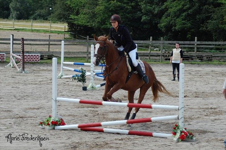 Herlev rideskole, Hjor klubstævne Spring billede 31