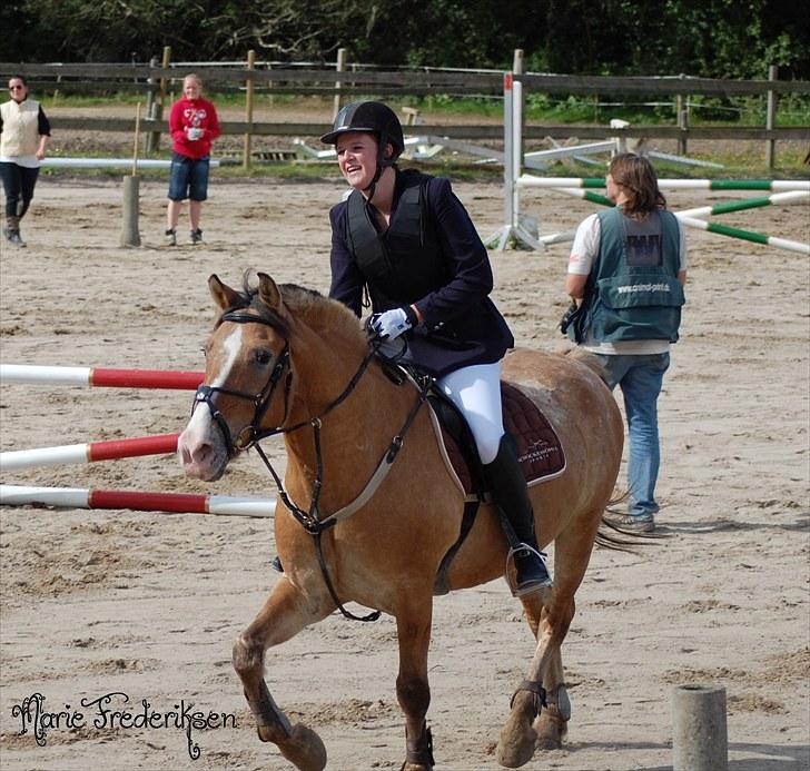 Herlev rideskole, Hjor klubstævne Spring billede 34