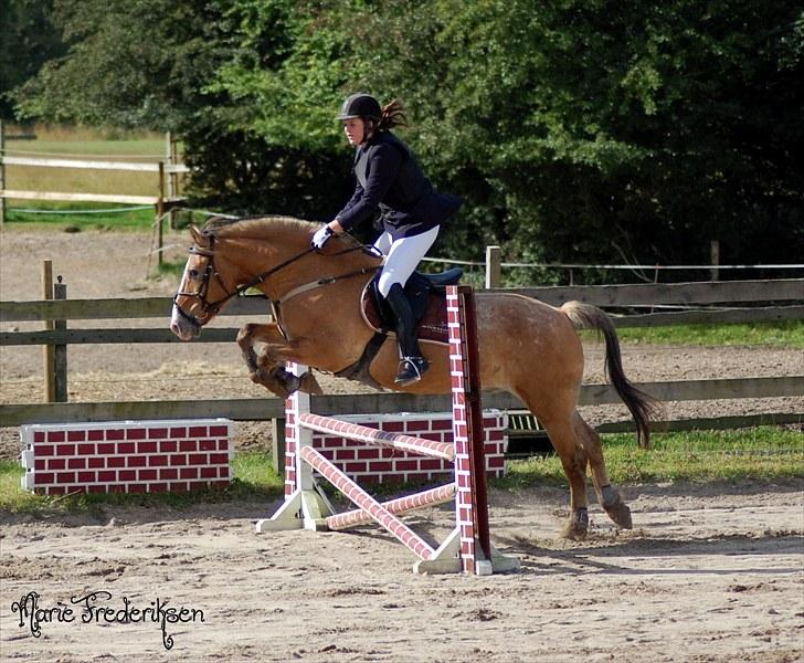Herlev rideskole, Hjor klubstævne Spring billede 35