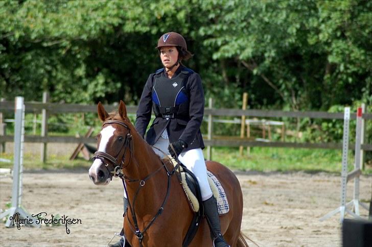 Herlev rideskole, Hjor klubstævne Spring billede 39