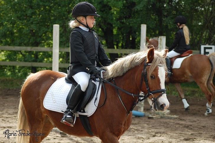 Herlev rideskole, Hjor klubstævne Spring billede 44