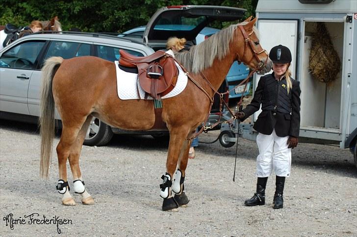 Herlev rideskole, Hjor klubstævne Spring billede 47
