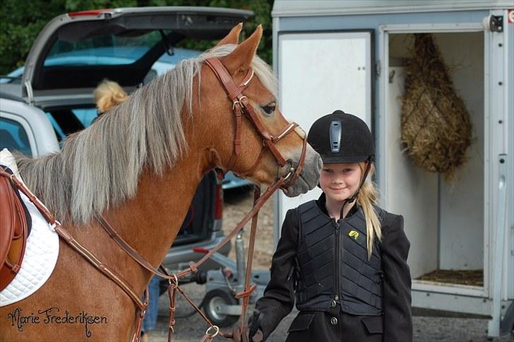 Herlev rideskole, Hjor klubstævne Spring billede 48