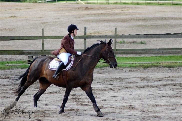 Herlev rideskole, Hjor klubstævne Spring billede 49