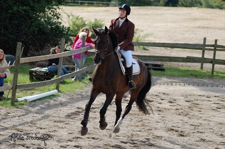 Herlev rideskole, Hjor klubstævne Spring billede 53