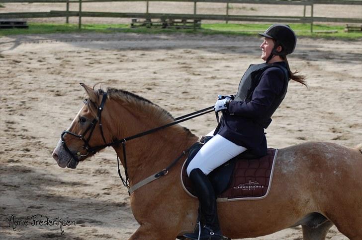 Herlev rideskole, Hjor klubstævne Spring billede 54