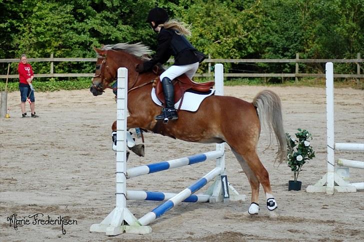 Herlev rideskole, Hjor klubstævne Spring billede 55