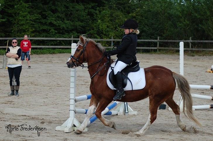 Herlev rideskole, Hjor klubstævne Spring billede 57