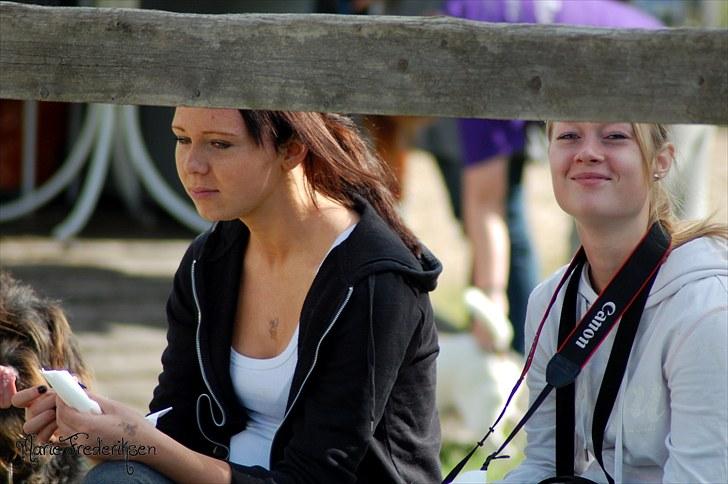 Herlev rideskole, Hjor klubstævne Spring billede 58