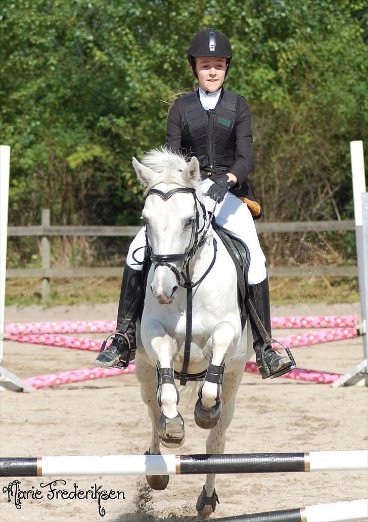 Herlev rideskole, Hjor klubstævne Spring billede 64