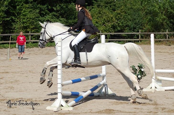 Herlev rideskole, Hjor klubstævne Spring billede 65