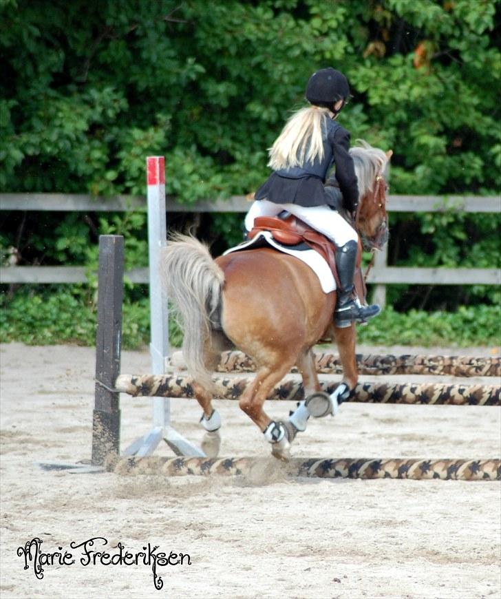 Herlev rideskole, Hjor klubstævne Spring billede 69