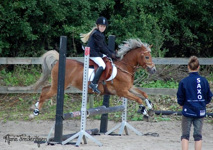 Herlev rideskole, Hjor klubstævne Spring billede 70