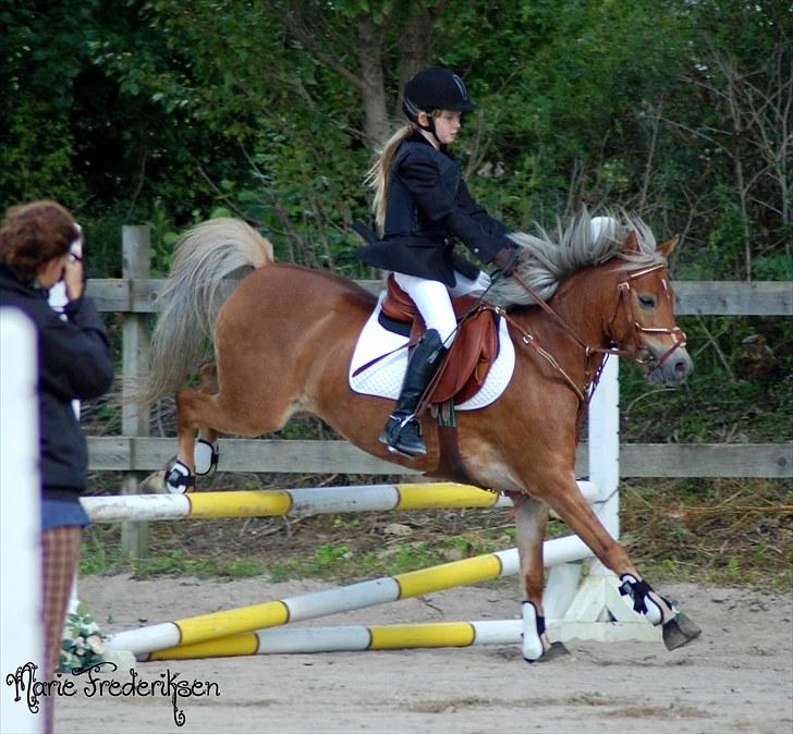 Herlev rideskole, Hjor klubstævne Spring billede 71