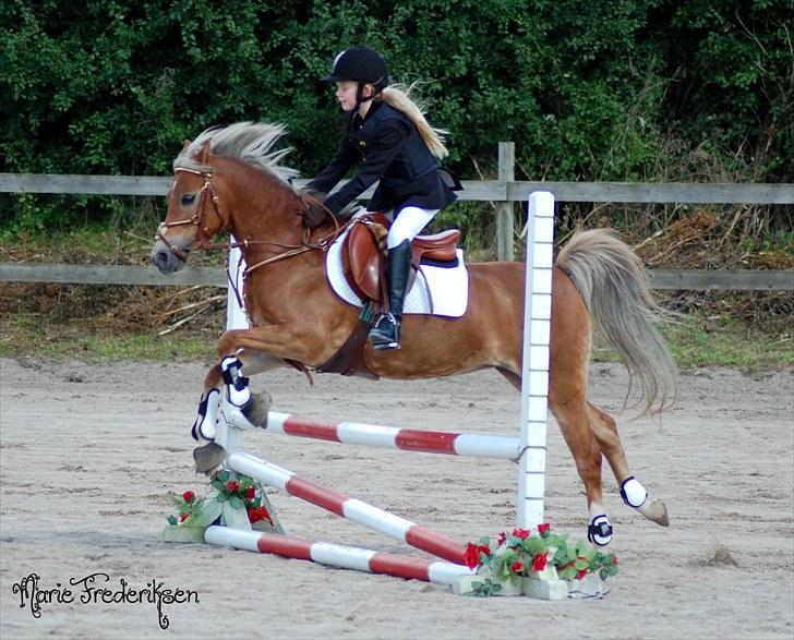 Herlev rideskole, Hjor klubstævne Spring billede 72
