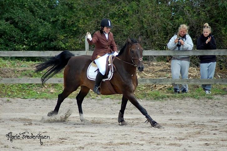 Herlev rideskole, Hjor klubstævne Spring billede 74